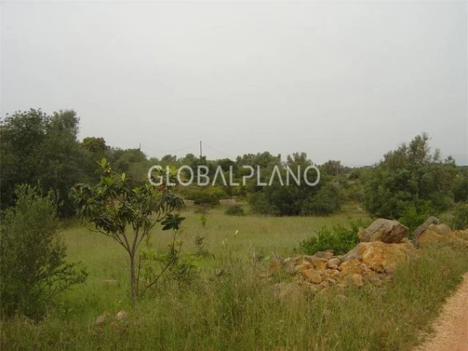 Terreno para Venda em Silves Foto 3