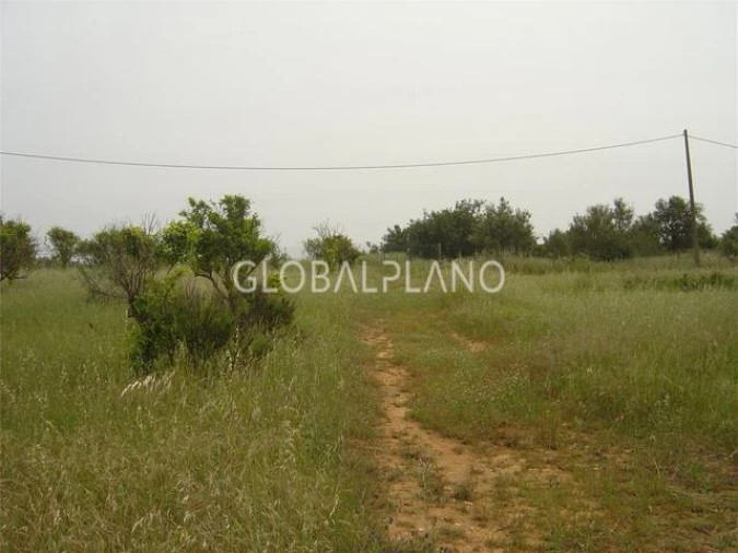 Terreno para Venda em Silves Foto 6