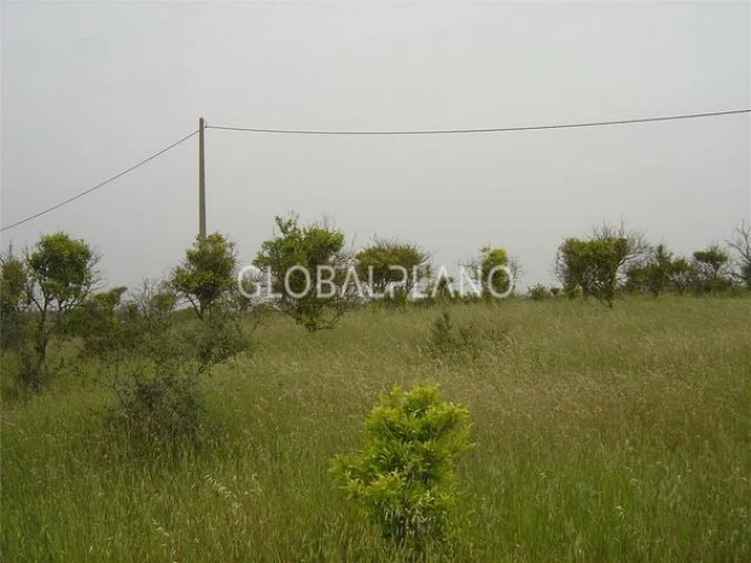 Terreno para Venda em Silves Foto 8