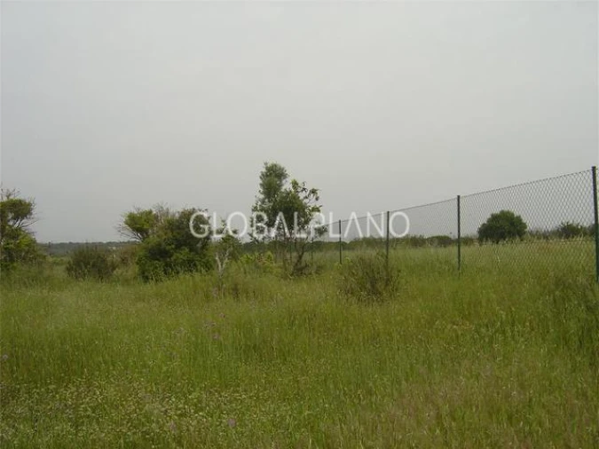 Terreno para Venda em Silves Foto 9