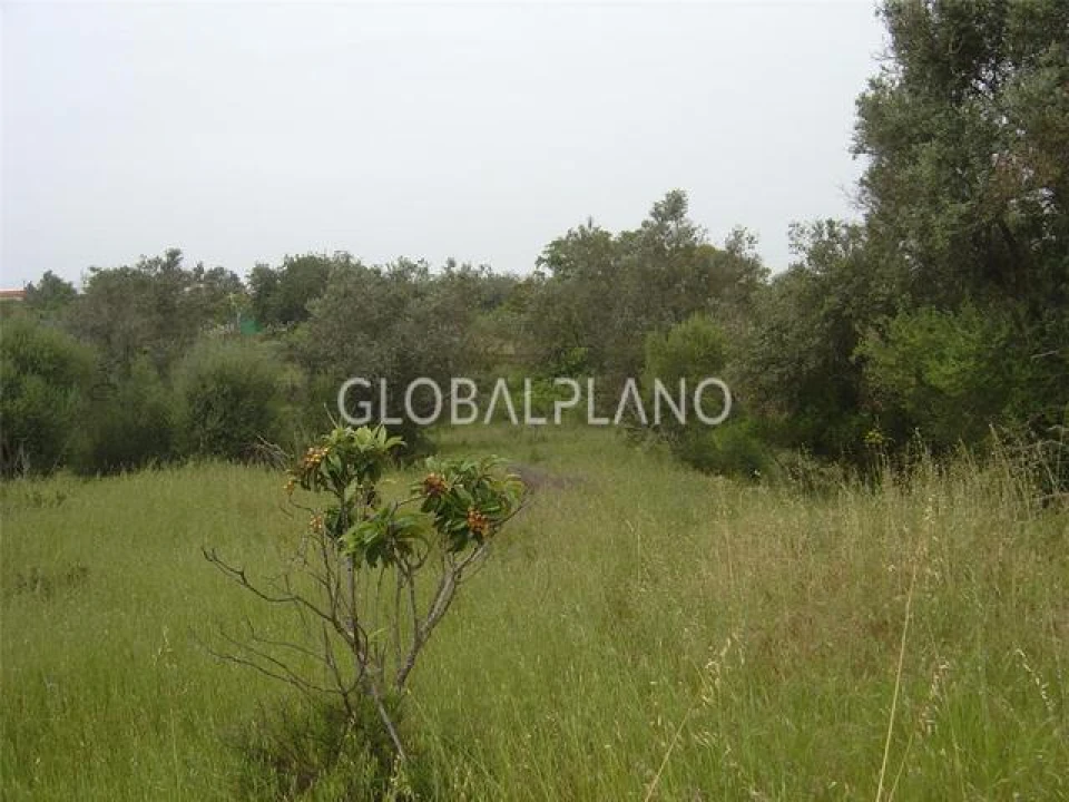 Terreno para Venda em Silves Foto 1