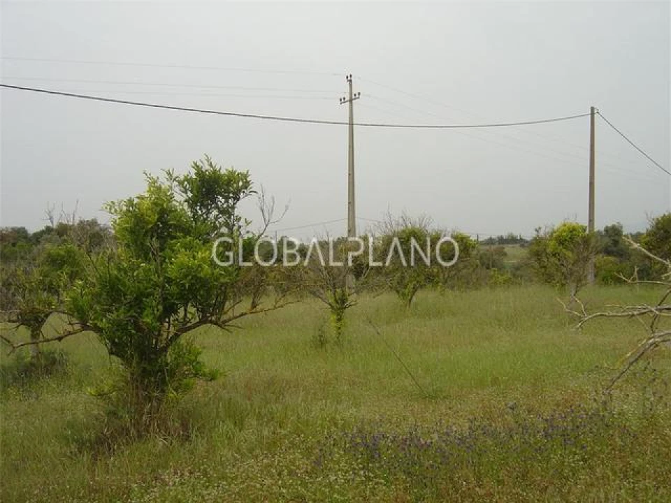 Terreno para Venda em Silves Foto 10
