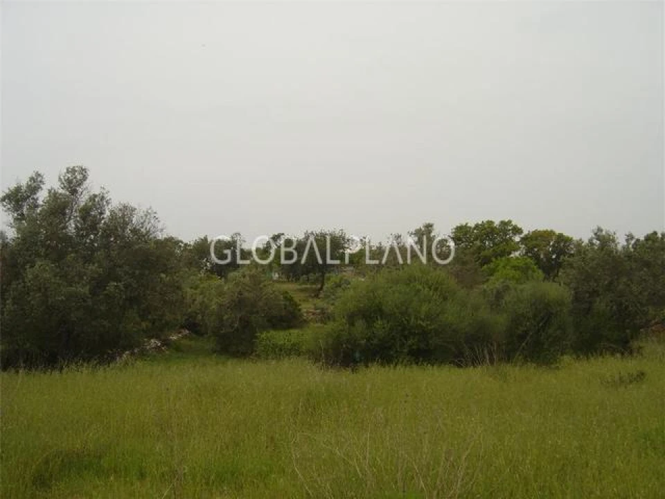 Terreno para Venda em Silves Foto 2