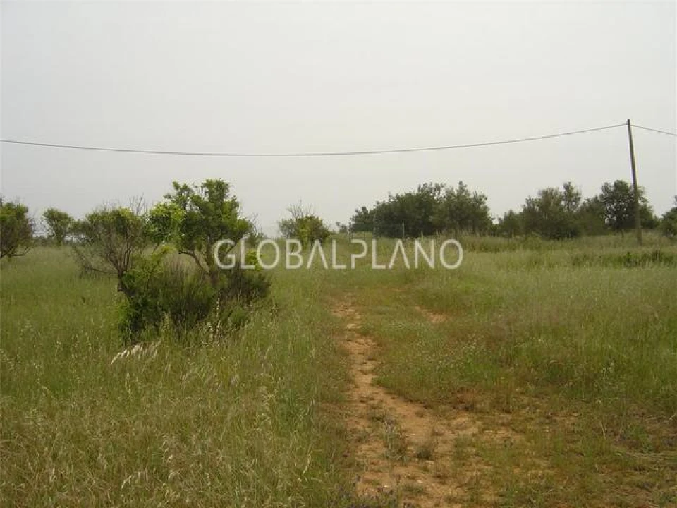 Terreno para Venda em Silves Foto 6