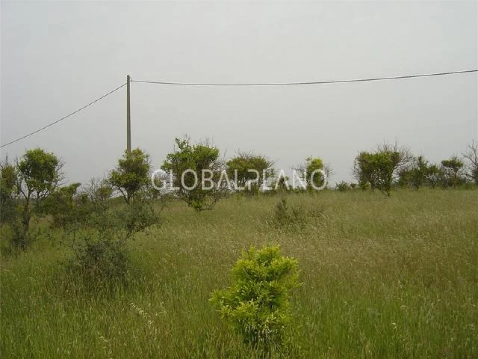 Terreno para Venda em Silves Foto 8