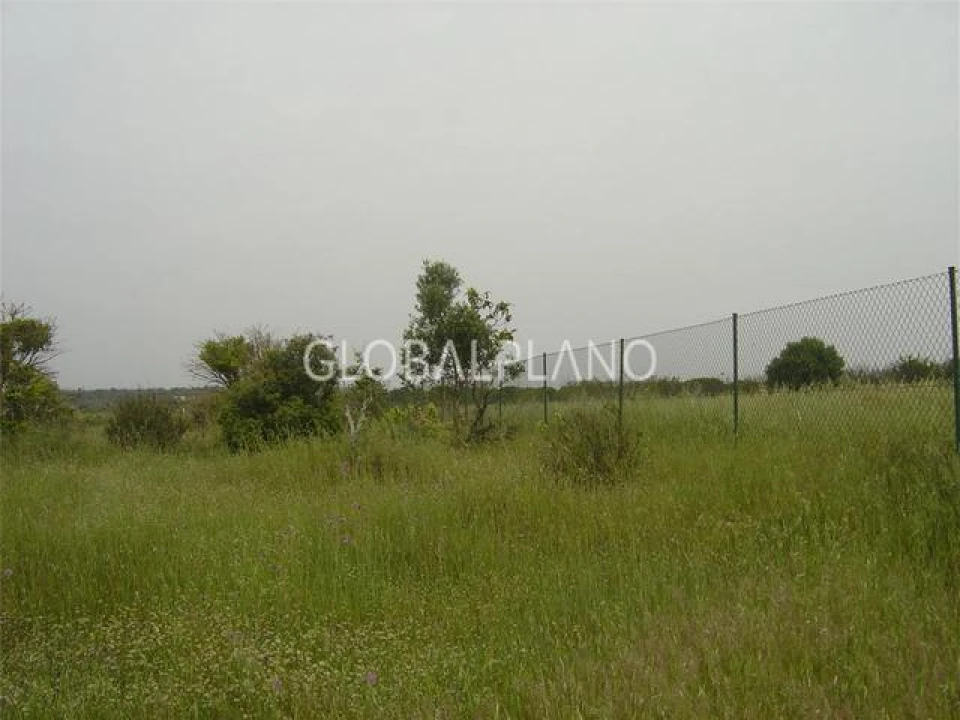 Terreno para Venda em Silves Foto 9