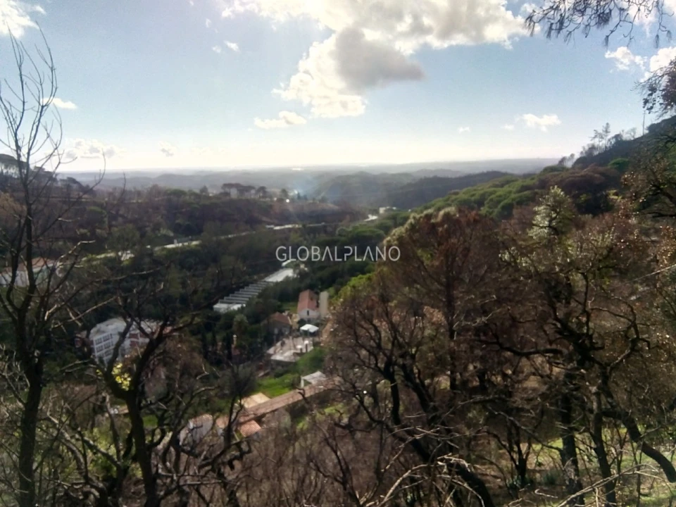 Terreno para Venda em Monchique Foto 9