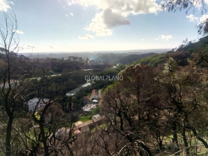 Terreno para Venda em Monchique Foto 9