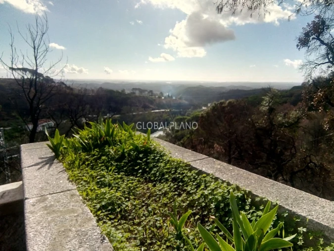 Terreno para Venda em Monchique Foto 10