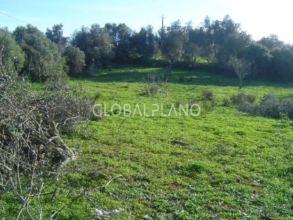 Terreno para Venda em Portimão Foto 3