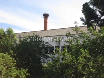 Quinta T3 para Venda em Estômbar e Parchal