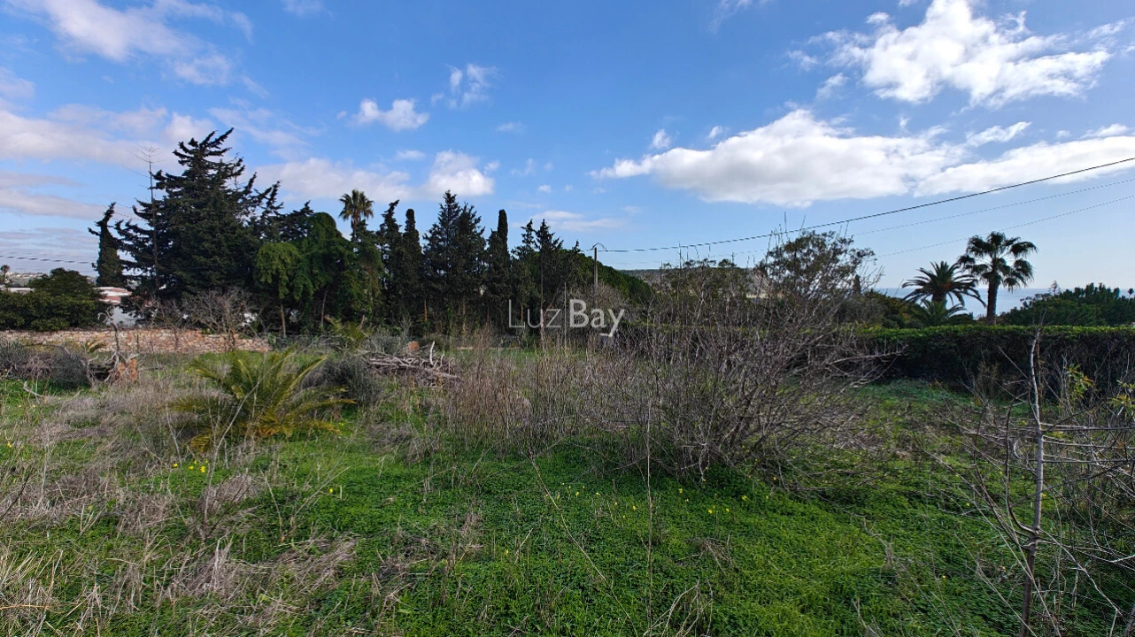 Terreno para Venda em Luz Foto 3