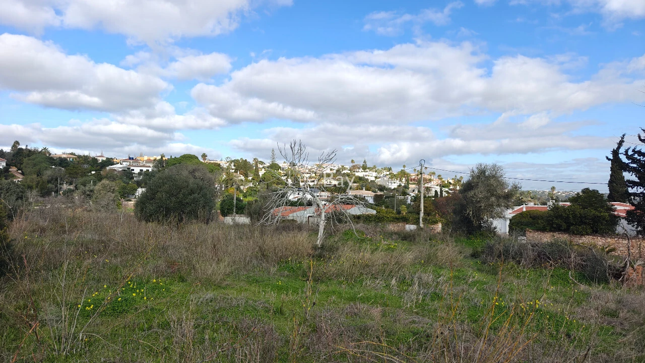Terreno para Venda em Luz Foto 5
