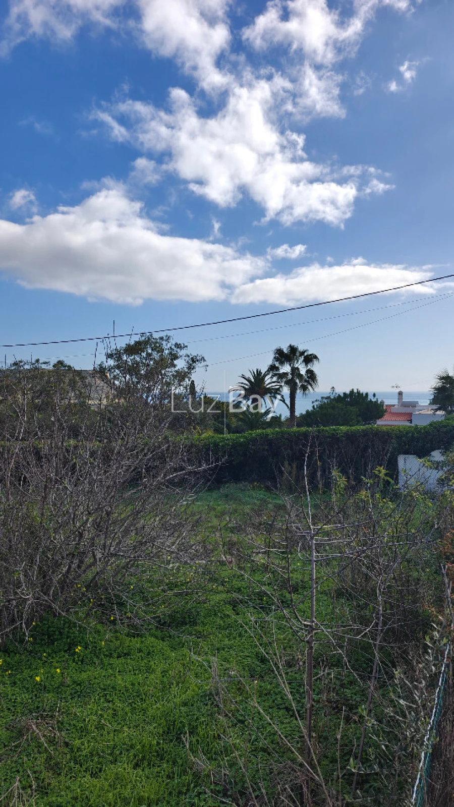 Terreno para Venda em Luz Foto 4