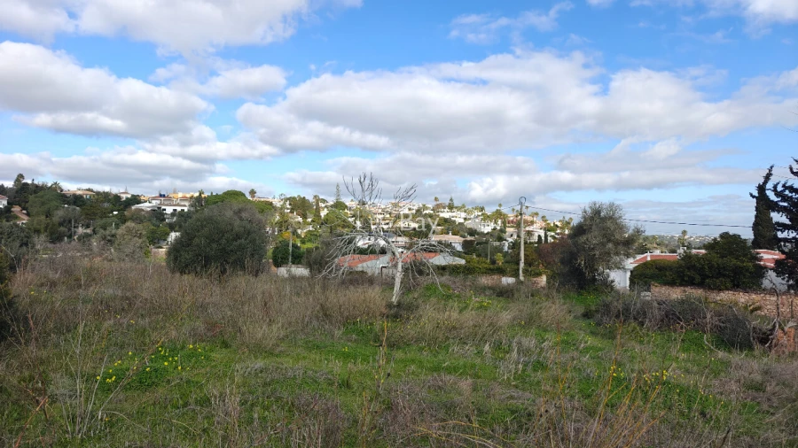 Terreno para Venda em Luz Foto 5
