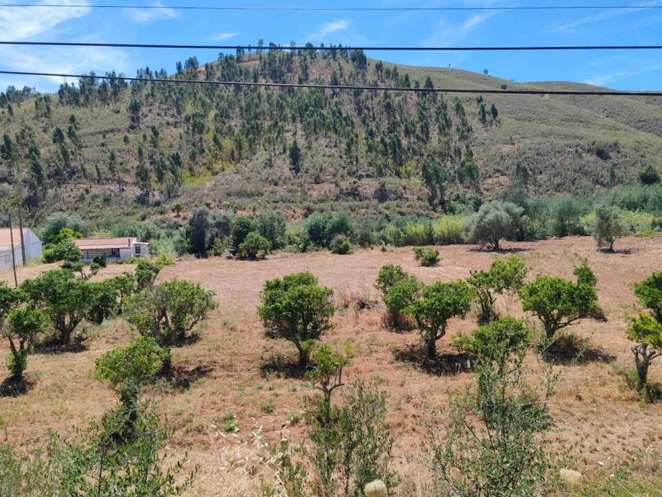 Quinta T0 para Venda em Silves Foto 7