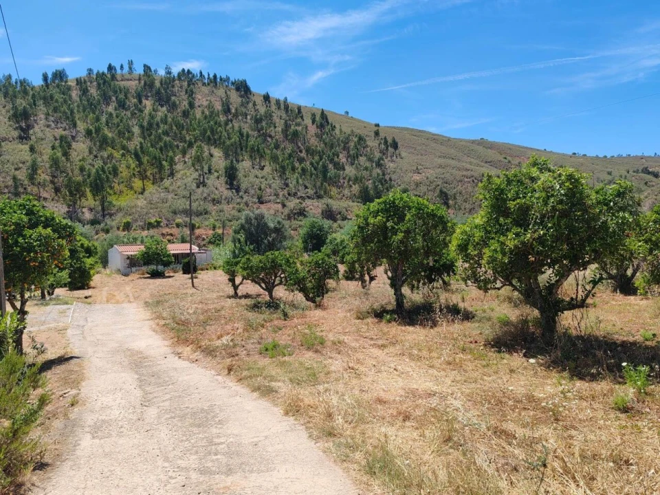 Quinta T0 para Venda em Silves Foto 10