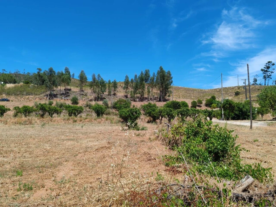 Quinta T0 para Venda em Silves Foto 12