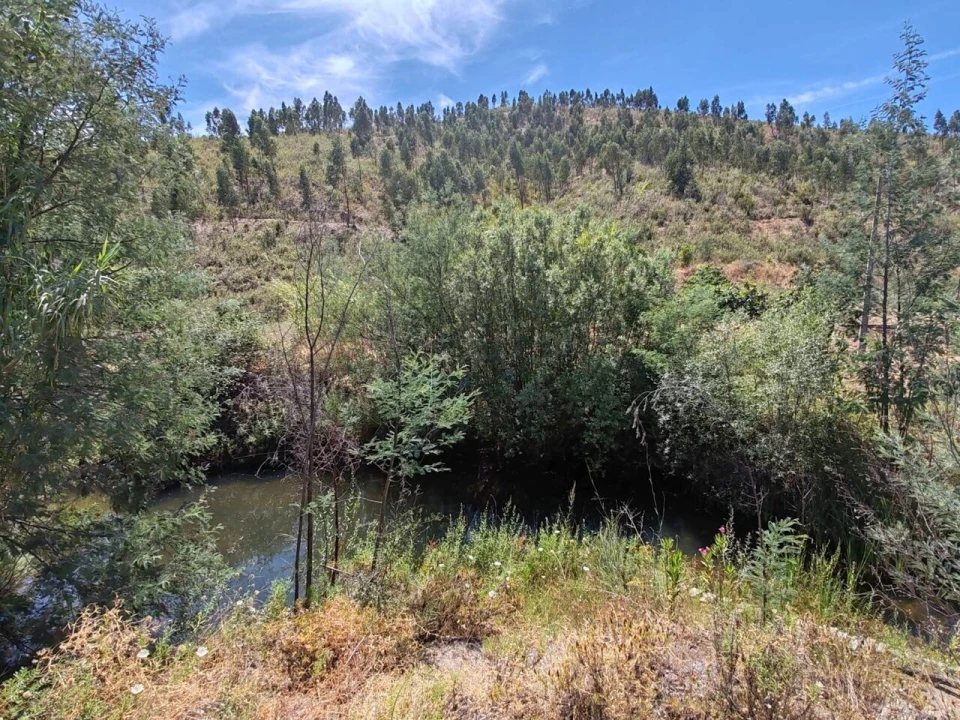 Quinta T0 para Venda em Silves Foto 13