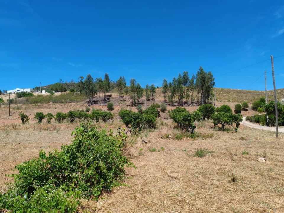 Quinta T0 para Venda em Silves Foto 16