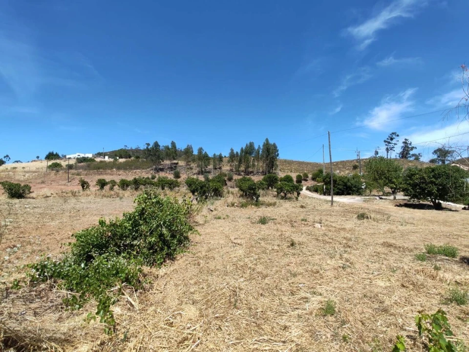 Quinta T0 para Venda em Silves Foto 19