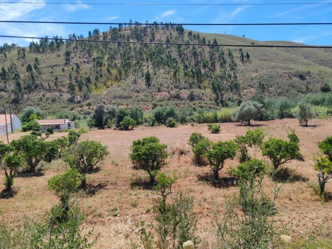 Quinta T0 para Venda em Silves Foto 7