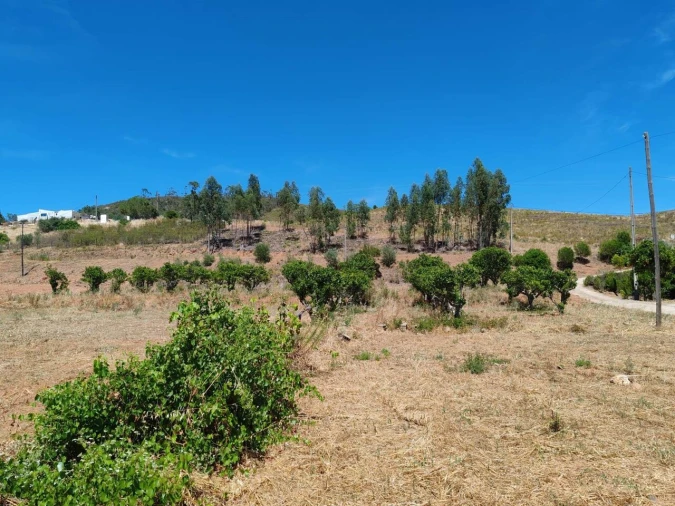 Quinta T0 para Venda em Silves Foto 16