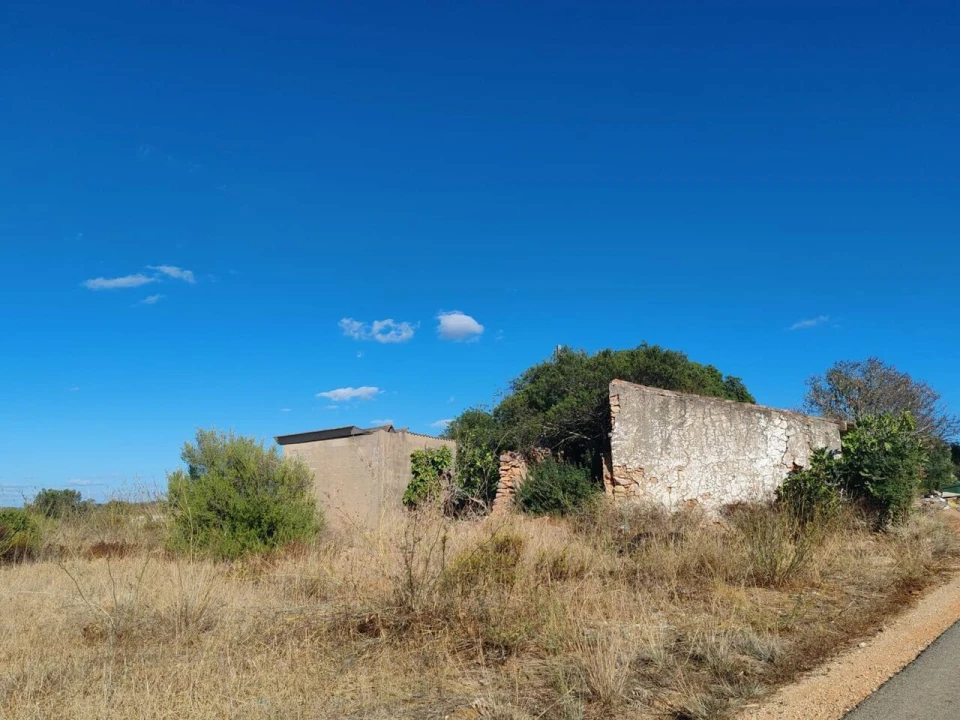 Terreno para Venda em Alcantarilha e Pêra Foto 3