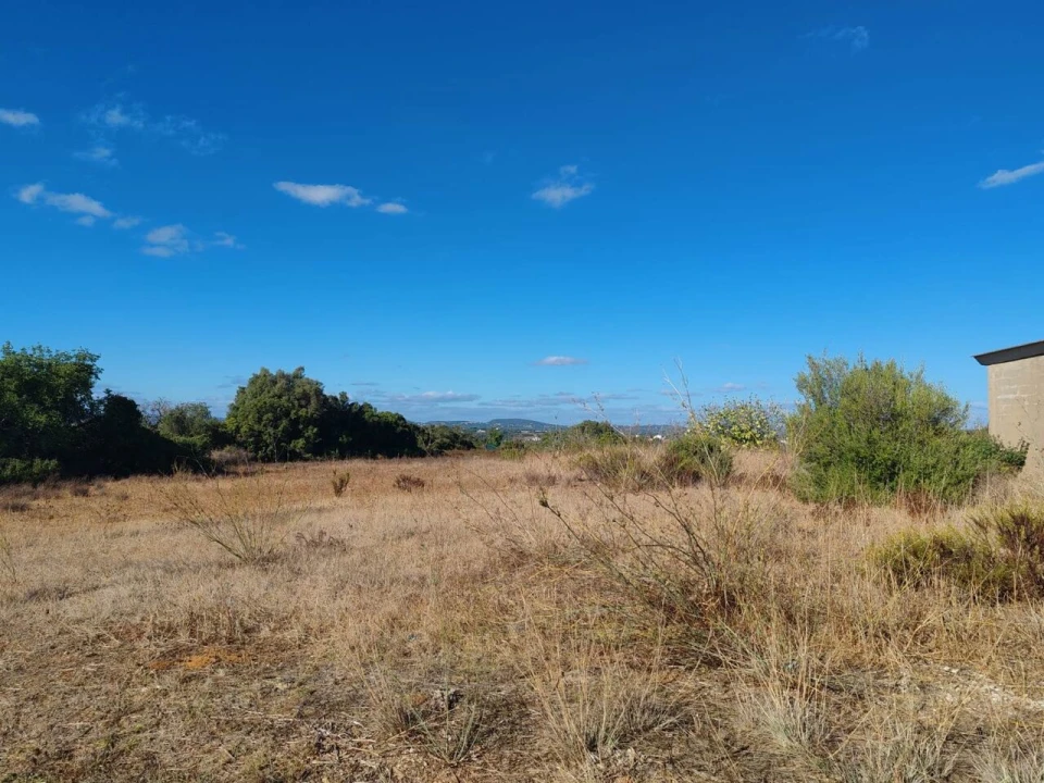 Terreno para Venda em Alcantarilha e Pêra Foto 7
