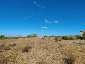 Terreno para Venda em Alcantarilha e Pêra