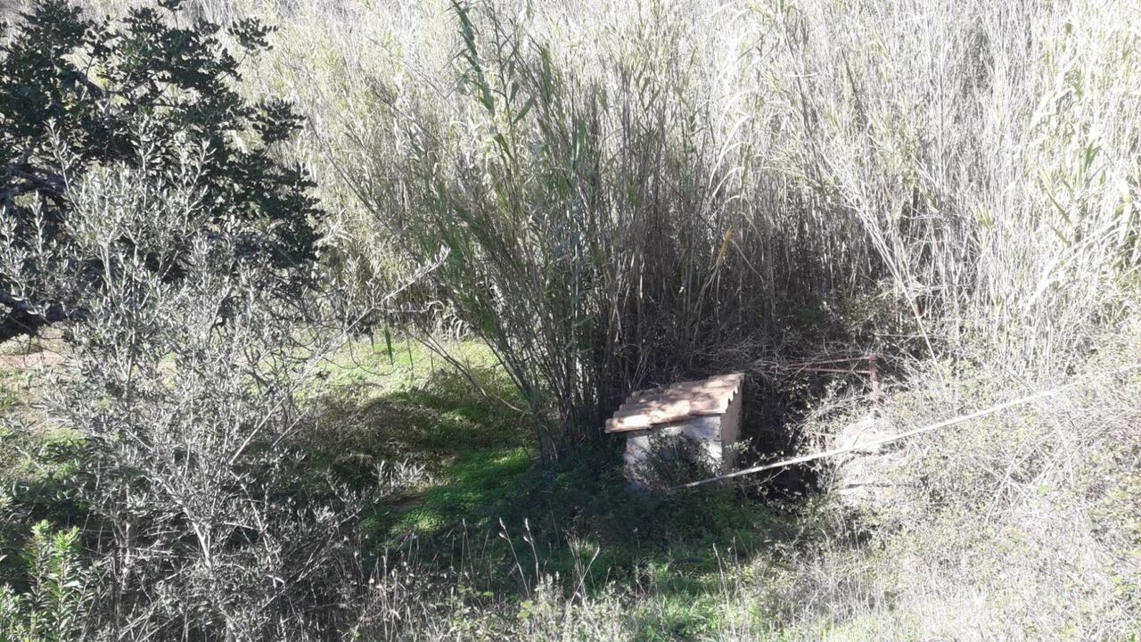 Moradia T3 para Venda em São Bartolomeu de Messines Foto 42