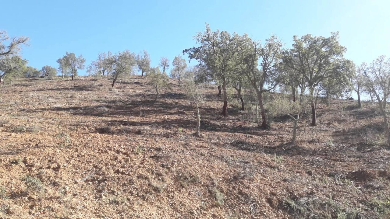 Moradia T3 para Venda em São Bartolomeu de Messines Foto 13