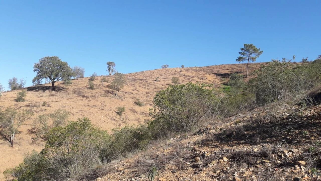 Moradia T3 para Venda em São Bartolomeu de Messines Foto 14