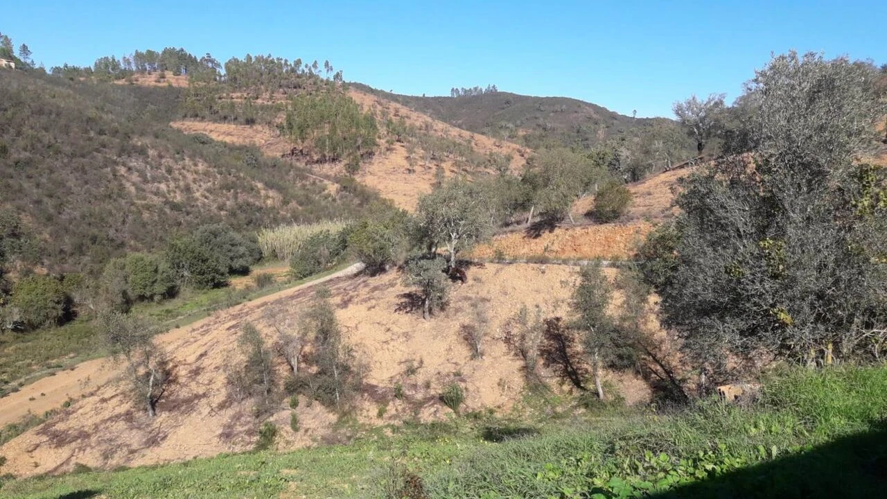 Moradia T3 para Venda em São Bartolomeu de Messines Foto 35