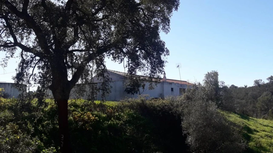 Moradia T3 para Venda em São Bartolomeu de Messines Foto 12