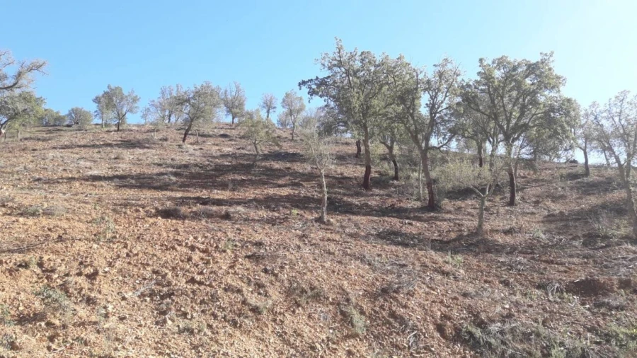 Moradia T3 para Venda em São Bartolomeu de Messines Foto 13