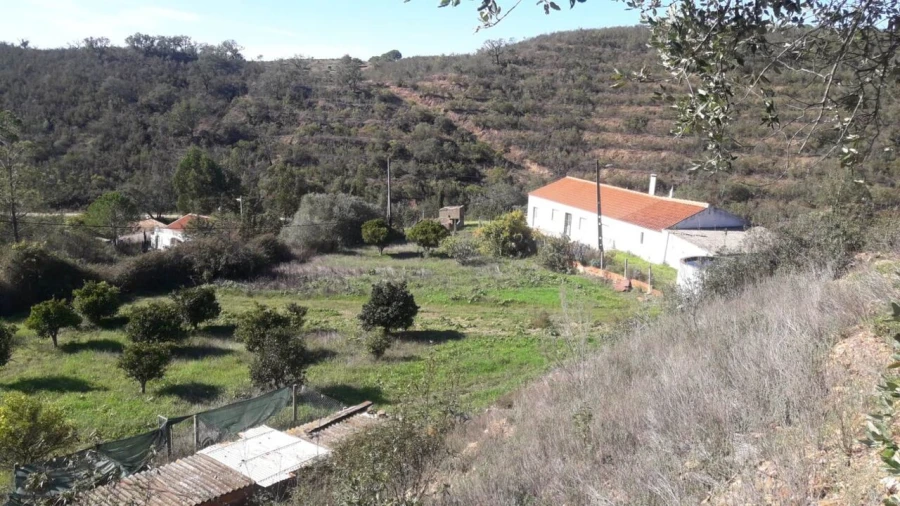 Moradia T3 para Venda em São Bartolomeu de Messines Foto 3