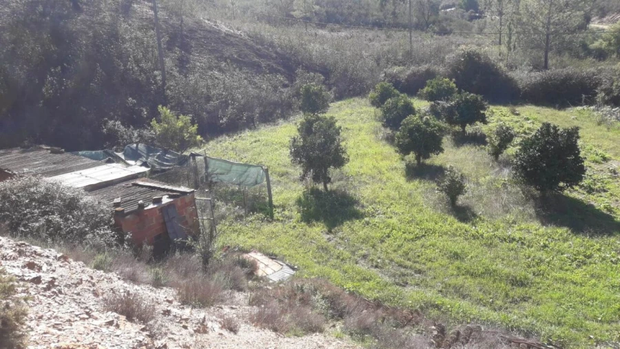 Moradia T3 para Venda em São Bartolomeu de Messines Foto 30