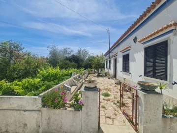 Terreno para Venda em Alcantarilha e Pêra
