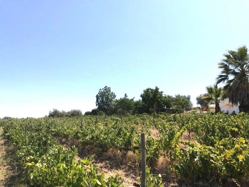 Moradia T4 para Venda em Vidigueira Foto 8