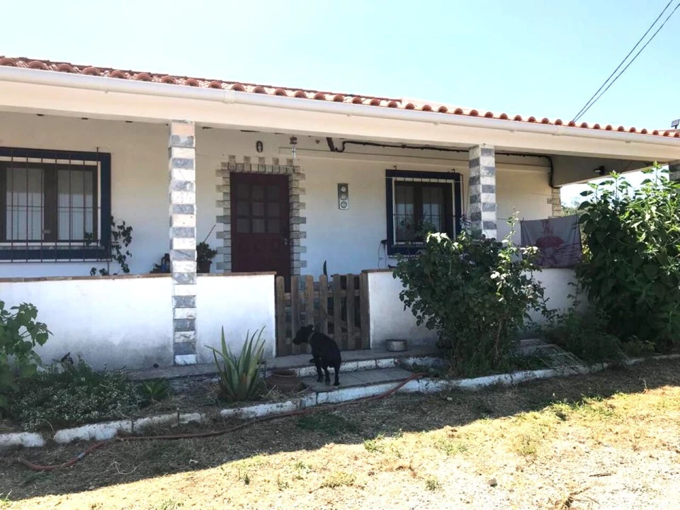 Moradia T4 para Venda em Vidigueira Foto 2