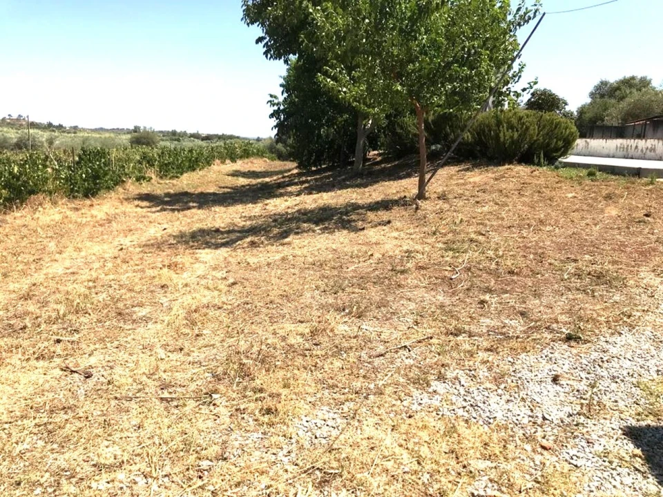 Moradia T4 para Venda em Vidigueira Foto 15