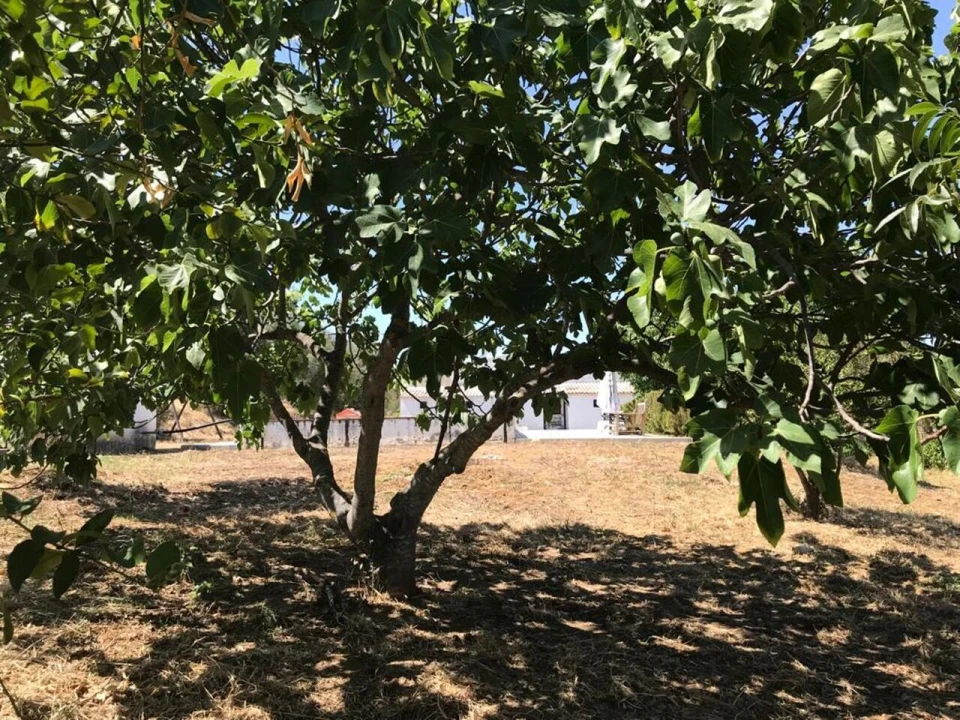 Moradia T4 para Venda em Vidigueira Foto 20