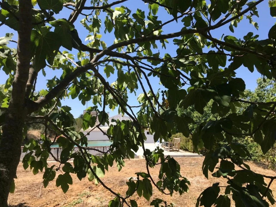 Moradia T4 para Venda em Vidigueira Foto 21