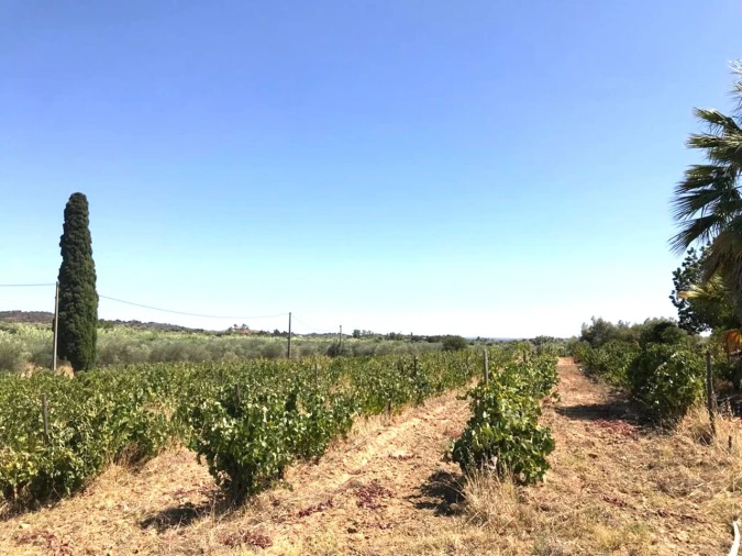 Moradia T4 para Venda em Vidigueira Foto 4