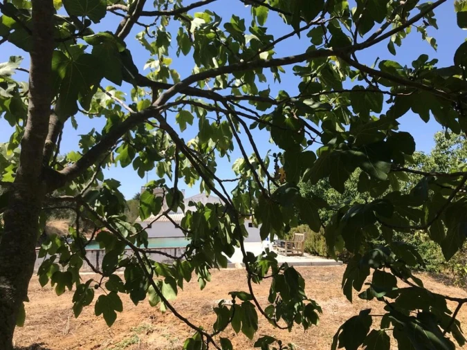 Moradia T4 para Venda em Vidigueira Foto 21