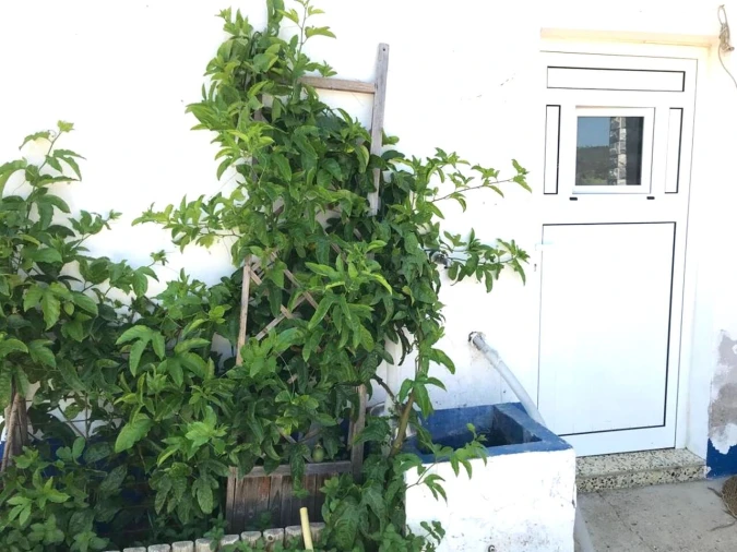 Moradia T4 para Venda em Vidigueira Foto 23