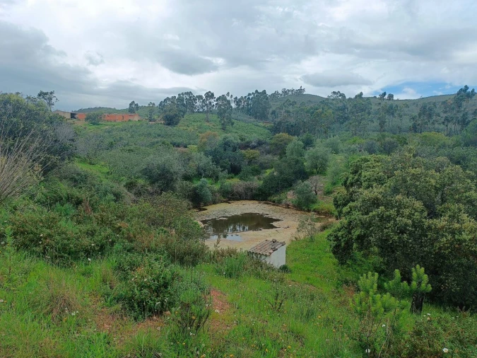 Moradia T3 para Venda em Alte Foto 4