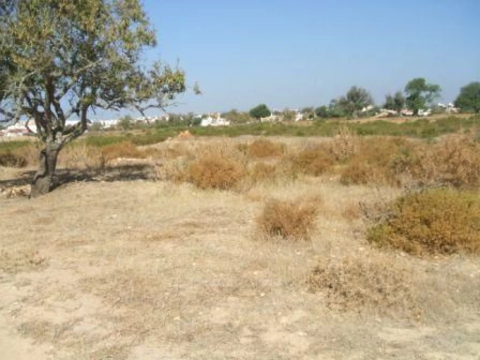 Terreno para Venda em Guia Foto 5