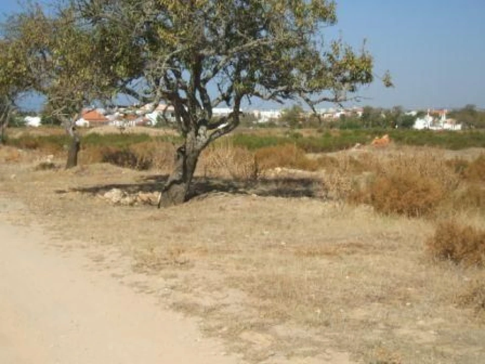 Terreno para Venda em Guia Foto 6